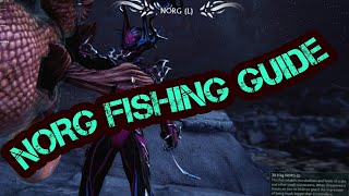 Norg Fishing Guide  Warframe Plains of Eidolon [upl. by Macario]