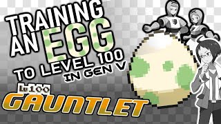 630  Training an Egg to Lv 100 BEFORE it hatches BW Edition [upl. by Asor]