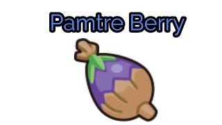 How To Get The Pamtre Berry  Pokemon RubySapphireEmerald [upl. by Scotti]