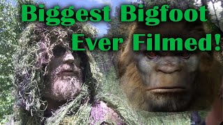 Biggest Bigfoot Ever Filmed Gigantic Sasquatch [upl. by Wolliw722]