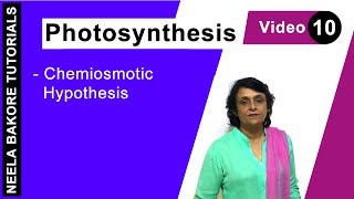 Photosynthesis  NEET  Chemiosmotic Hypothesis  Neela Bakore Tutorials [upl. by Aiuqenehs]