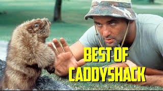 Best of Caddyshack 1980 [upl. by Lacym297]