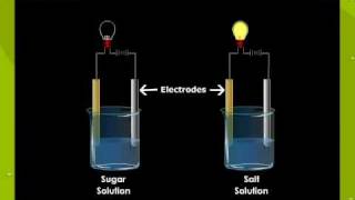 Electrolytes and Non Electrolytes [upl. by Salkin628]