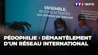 Enquête  Pédophilie  démantèlement d’un réseau international｜TF1 INFO [upl. by Assehc]