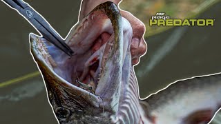 FLOAT FISHING DEADBAITS FOR PIKE  Pike Handling and Rig Setup [upl. by Lemar]