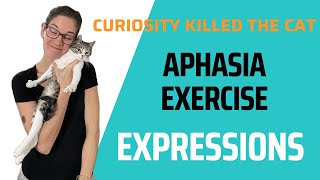 Follow Along Speech Therapy for Aphasia  Expression Completion [upl. by Grane187]