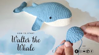 How to Start Walter the Whale  Humpback Whale Crochet Amigurumi Pattern by The Crochet Code [upl. by Githens967]