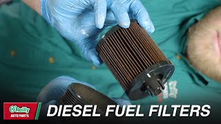 How To Change Diesel Fuel Filters [upl. by Ahseral]