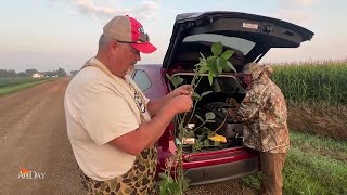 Day 1 Pro Farmer Crop Tour South Dakota Recap [upl. by Naimad]