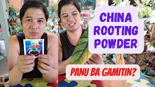 How to use Rooting powder from China  Shoppee Rooting powder form China [upl. by Adnical663]