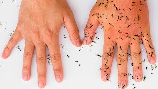 8 AllNatural Ways to Keep Mosquitoes Away [upl. by Thurber]