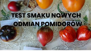 Test smaku nowych odmian pomidorów Selekcja odmian [upl. by Auburn]