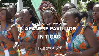 TICAD Ⅵ（ジャパン・アフリカEXPOでの日本企業の展示の様子）―平成28年8月25～28日 [upl. by Yael654]