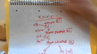 001 Glycolysis  Aerobic respiration  series 6 [upl. by Iolanthe497]