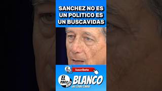 SANCHEZ NO ES UN POLITICO ES UN BUSCAVIDAS shorts pedrosanchez sanchez vox abascal begoñagomez [upl. by Pammie525]