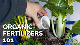 14 Organic Fertilizers and How to Use Them [upl. by Ttennaj]