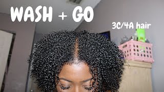 WASH AND GO ON 3C4A CURLY FINE HAIR [upl. by Eirrotal]