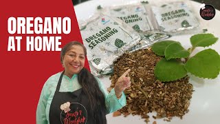 MAKE OREGANO AT HOME FROM OREGANO LEAVES Italian Seasoning Recipe Homemade Oregano Oregano Recipe [upl. by Rollet664]