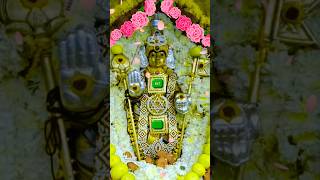 Lord Murugan Song  Lord Murugan Songs Whatsapp Status Tamil shorts [upl. by Llerrit]