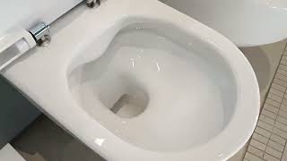 How to remove the Laufen PRO toilet lid Як зняти кришку унітаза Лауфен Про [upl. by Himelman]