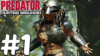 PREDATOR HUNTING GROUNDS  Gameplay Walkthrough Part 1  FULL BETA PS4 PRO [upl. by Ynnol]