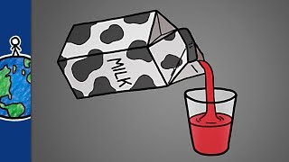 Milk Is Just Filtered Blood [upl. by Karly]