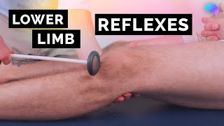 Reflexes of the Lower Limbs  OSCE Clip  UKMLA  CPSA  PLAB 2 [upl. by Song]