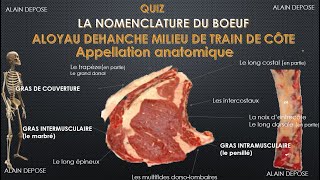 QUIZ ALOYAU DEHANCHE MILIEU DE TRAIN DE COTE [upl. by Deryl]