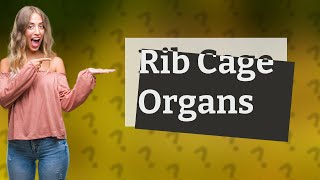 What organ is inside the rib cage [upl. by Weig]