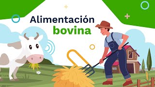 Curso Alimentación bovina [upl. by Maxi371]