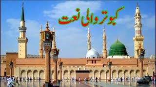 Taiba Dy Kabootra Full Naat [upl. by Sullecram960]