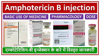 Amphotericin B injection Basic use Dose side effectएम्फोटेरिसिनबी इन्जेक्शन के बारे में जानकारी [upl. by Auqined]