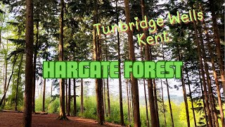 Hargate Forest  Tunbridge Wells Kent [upl. by Euqinitram]