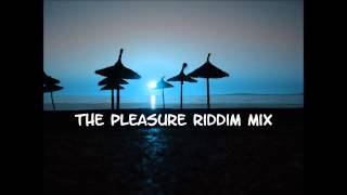 The Pleasure Riddim Mix 2013tracks in the description [upl. by Hairom]