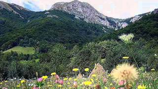 DOINA DIN BUCOVINA amp BATRANEASCA ☆ Caval Playing [upl. by Assillem]