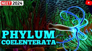 NonChordates PHYLUM COELENTERATA  Animal Kingdom  3D ANIMATION [upl. by Kalil]