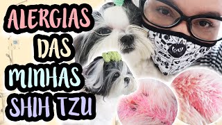 VLOG CONSULTA COM DERMATOLOGISTA VETERINÁRIO EXAMES E TRATAMENTO P DERMATITE CANINA  LÓI CÚRCIO [upl. by Araek297]