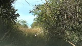 Cholutecas River Basin UHD Footage 0101301021 [upl. by Nacul192]