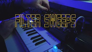 Filter Sweeps Analog Synth with Delay Pedal [upl. by Auhsoj]