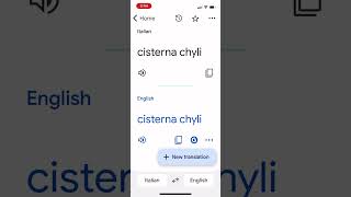 Cisterna Chyli How to Pronounce [upl. by Nedac389]