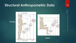 0101P1 Types of Anthropometric Data [upl. by Laumas]