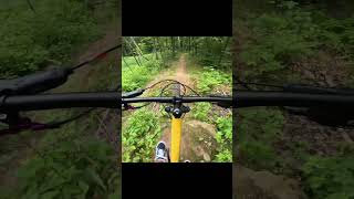 Hardtails are the best mtb mountainbike gopro mtblife mountainbiking trail hardtail [upl. by Narih883]