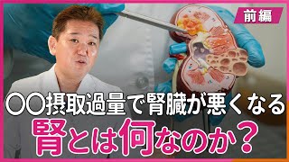 腎とは何なのか？〇〇摂取過量で腎臓が悪くなる〜前編〜 [upl. by Abbe]