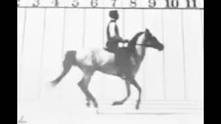 Sallie Gardner at a Gallop Film 1878 [upl. by Aniat]