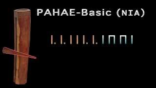 PAHAE Basic NIA with Tabs [upl. by Eelirol102]