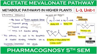 Acetate mevalonate pathway  L3 Unit1  Metabolic Pathways  pharmacognosy 5th sem [upl. by Rimidalb]