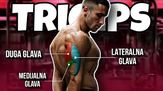 Fitnes Jednostavno TRICEPS triceps fitnes [upl. by Wilburt240]