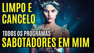 🙏HOOPONOPONO PARA DORMIR  CANCELO TODOS OS PROGRAMAS SABOTADORES DA PROSPERIDADE [upl. by Shepherd]