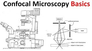 Confocal microscopy Basics [upl. by Aretse67]