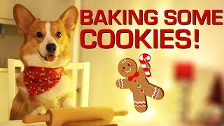 BAKING COOKIES  Topi the Corgi [upl. by Asilehs]